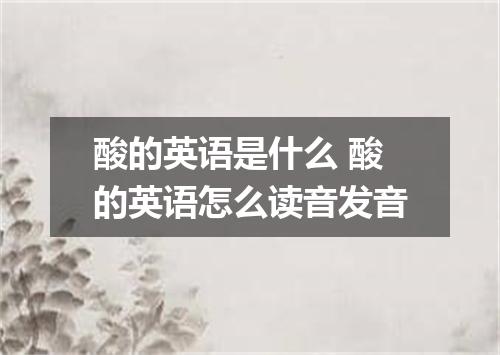 酸的英语是什么 酸的英语怎么读音发音