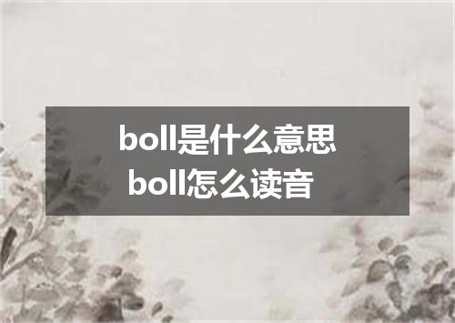 boll是什么意思 boll怎么读音