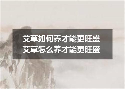 艾草如何养才能更旺盛 艾草怎么养才能更旺盛