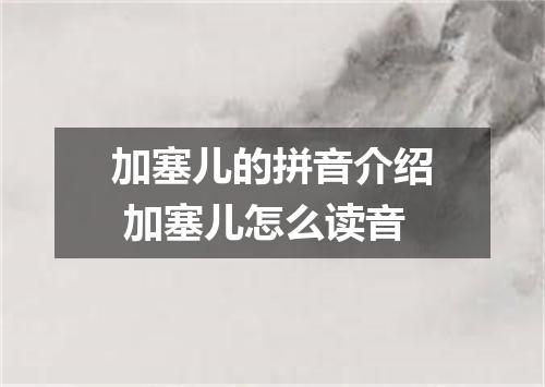 加塞儿的拼音介绍 加塞儿怎么读音