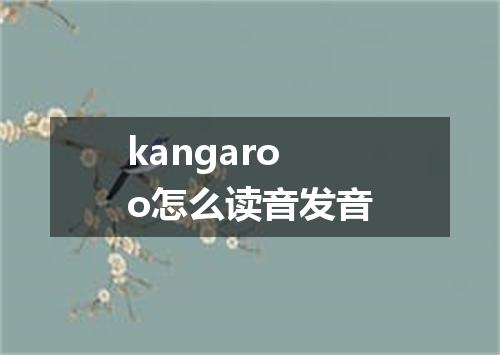 kangaroo怎么读音发音