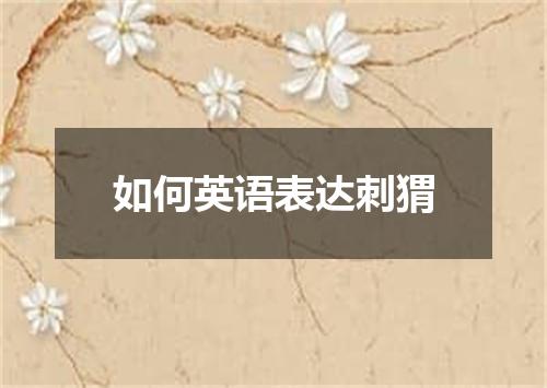 如何英语表达刺猬