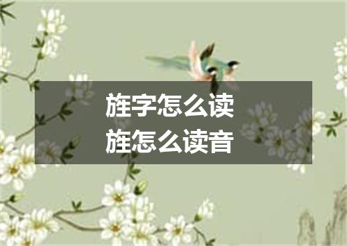 旌字怎么读 旌怎么读音