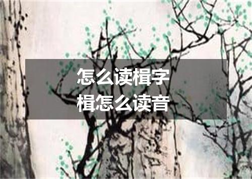 怎么读楫字 楫怎么读音
