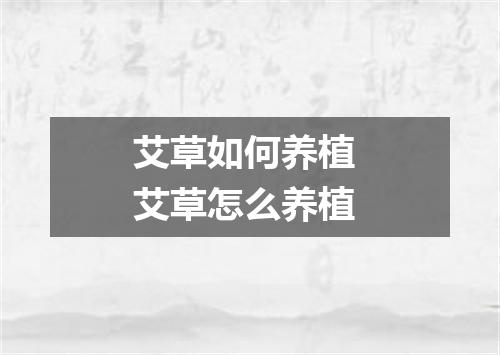 艾草如何养植 艾草怎么养植