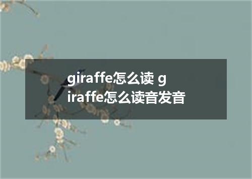 giraffe怎么读 giraffe怎么读音发音
