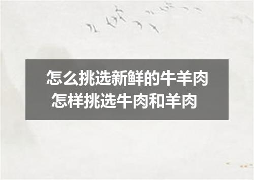 怎么挑选新鲜的牛羊肉 怎样挑选牛肉和羊肉