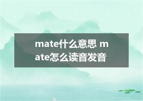 mate什么意思 mate怎么读音发音
