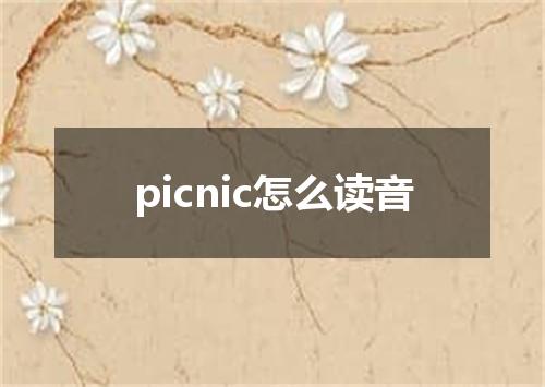 picnic怎么读音