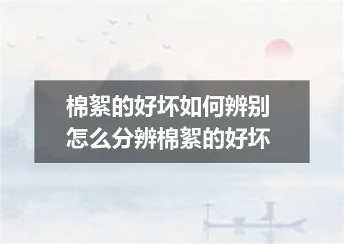 棉絮的好坏如何辨别 怎么分辨棉絮的好坏