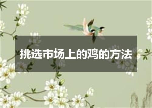 挑选市场上的鸡的方法