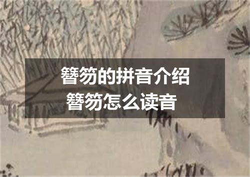 簪笏的拼音介绍 簪笏怎么读音