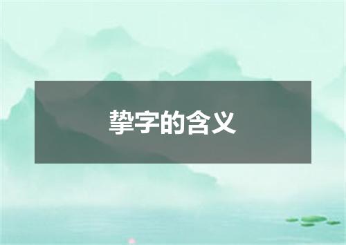 挚字的含义