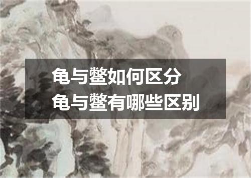 龟与鳖如何区分 龟与鳖有哪些区别