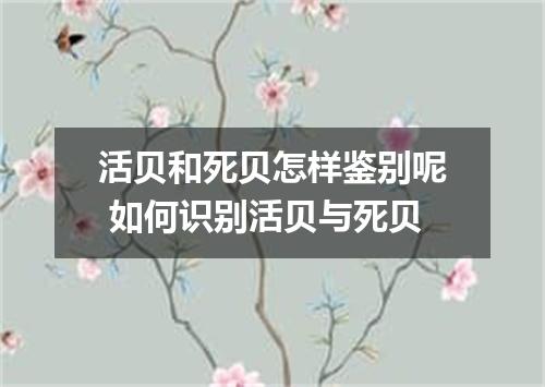 活贝和死贝怎样鉴别呢 如何识别活贝与死贝