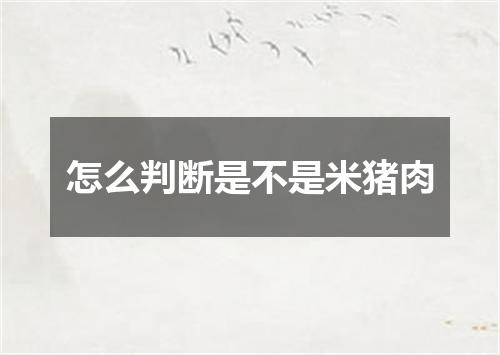 怎么判断是不是米猪肉