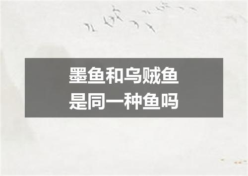 墨鱼和乌贼鱼是同一种鱼吗