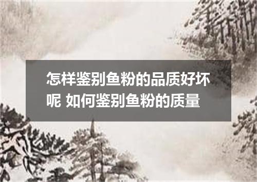 怎样鉴别鱼粉的品质好坏呢 如何鉴别鱼粉的质量