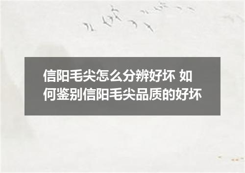 信阳毛尖怎么分辨好坏 如何鉴别信阳毛尖品质的好坏