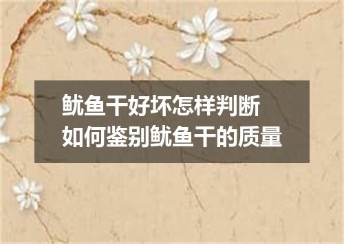 鱿鱼干好坏怎样判断 如何鉴别鱿鱼干的质量