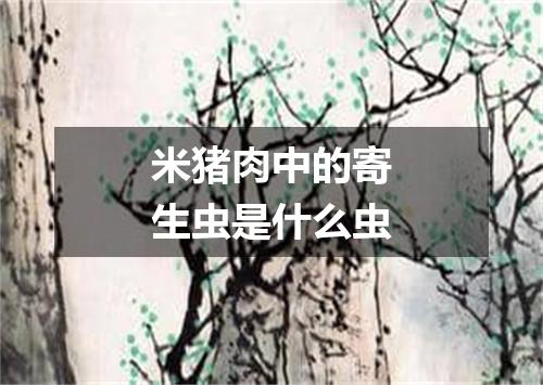 米猪肉中的寄生虫是什么虫