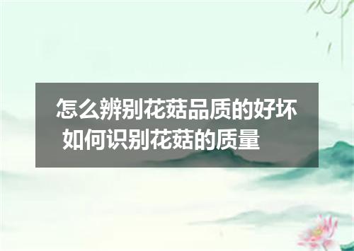 怎么辨别花菇品质的好坏 如何识别花菇的质量