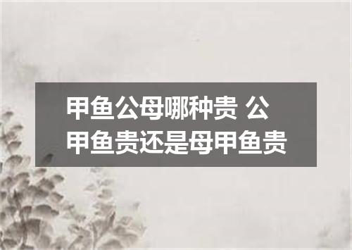 甲鱼公母哪种贵 公甲鱼贵还是母甲鱼贵
