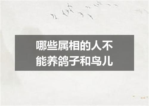 哪些属相的人不能养鸽子和鸟儿