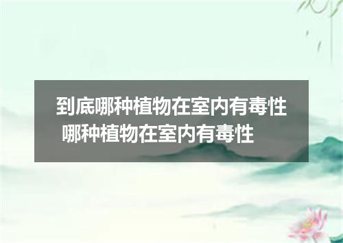 到底哪种植物在室内有毒性 哪种植物在室内有毒性