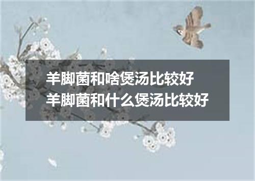 羊脚菌和啥煲汤比较好 羊脚菌和什么煲汤比较好