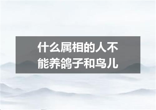 什么属相的人不能养鸽子和鸟儿