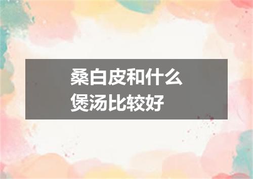 桑白皮和什么煲汤比较好