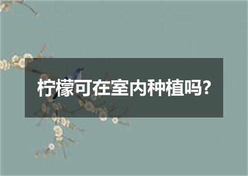 柠檬可在室内种植吗?