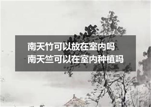 南天竹可以放在室内吗 南天竺可以在室内种植吗