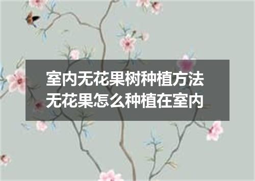 室内无花果树种植方法 无花果怎么种植在室内