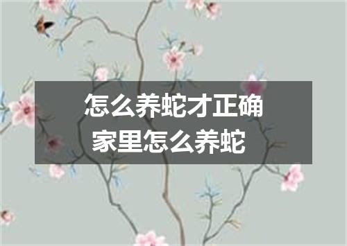怎么养蛇才正确 家里怎么养蛇
