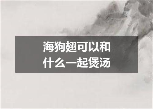 海狗翅可以和什么一起煲汤