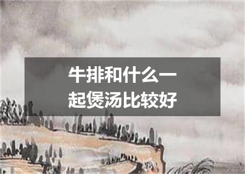 牛排和什么一起煲汤比较好