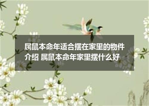 属鼠本命年适合摆在家里的物件介绍 属鼠本命年家里摆什么好