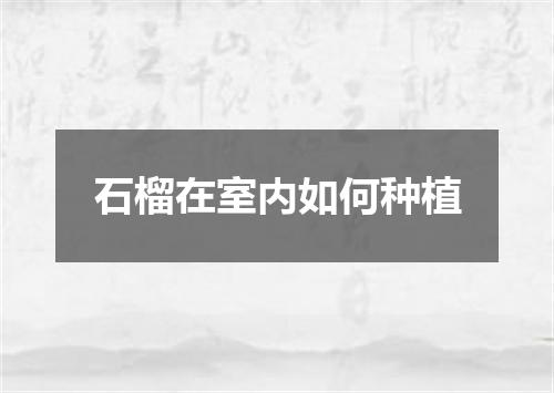 石榴在室内如何种植