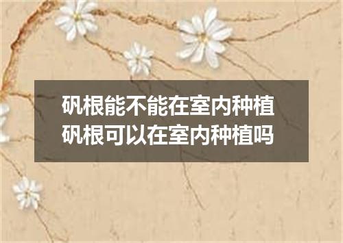 矾根能不能在室内种植 矾根可以在室内种植吗