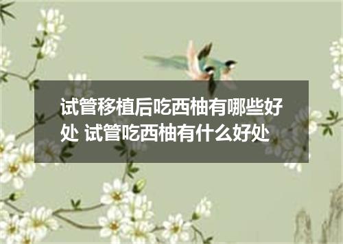 试管移植后吃西柚有哪些好处 试管吃西柚有什么好处