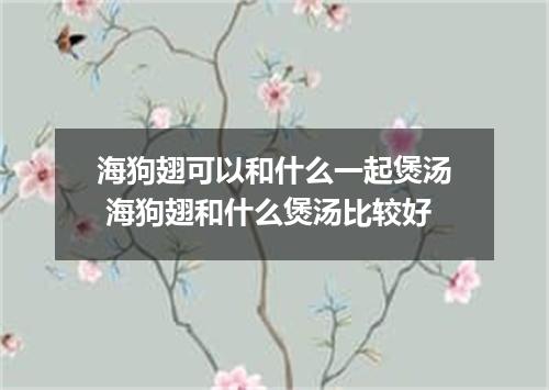 海狗翅可以和什么一起煲汤 海狗翅和什么煲汤比较好