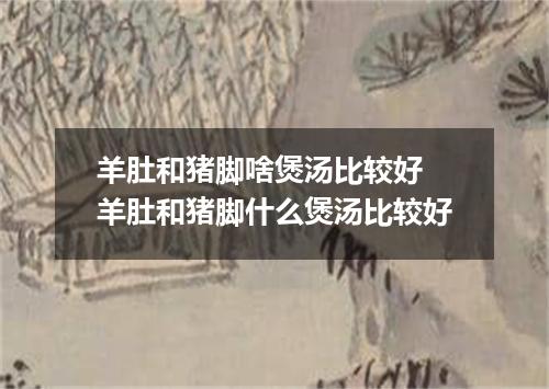 羊肚和猪脚啥煲汤比较好 羊肚和猪脚什么煲汤比较好