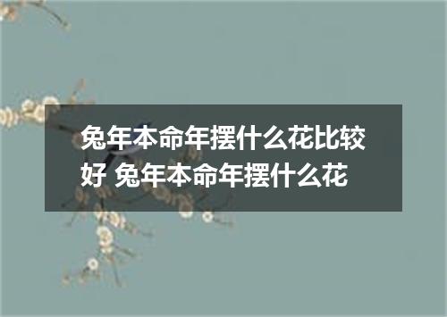 兔年本命年摆什么花比较好 兔年本命年摆什么花