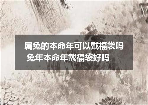 属兔的本命年可以戴福袋吗 兔年本命年戴福袋好吗