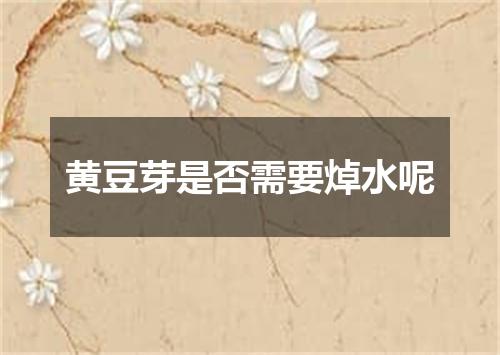 黄豆芽是否需要焯水呢