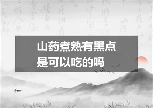 山药煮熟有黑点是可以吃的吗
