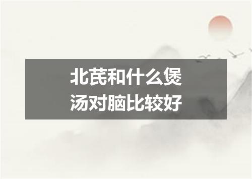 北芪和什么煲汤对脑比较好