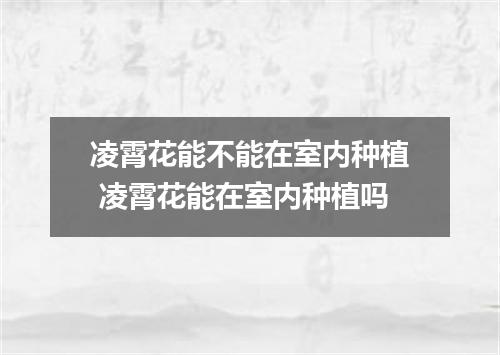 凌霄花能不能在室内种植 凌霄花能在室内种植吗